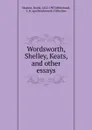 Wordsworth, Shelley, Keats. And other essays - Masson David