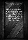 Die Arachniden. Getreu nach der Natur abgebildet und beschrieben - Carl Ludwig Koch