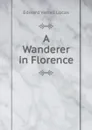 A Wanderer in Florence - E. V. Lucas