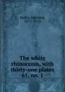 The white rhinoceros - Edmund Heller