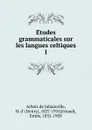 Etudes grammaticales sur les langues celtiques - Henry d'Arbois de Jubainville