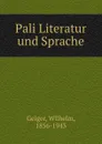 Pali Literatur und Sprache - Wilhelm Geiger