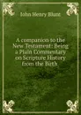 A companion to the New Testament - John Henry Blunt