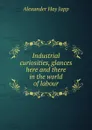 Industrial curiosities, glances here and there in the world of labour - Alexander Hay Japp