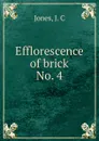 Efflorescence of brick - J.C. Jones