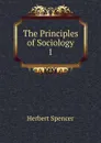 The Principles of Sociology - Герберт Спенсер