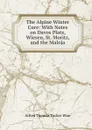 The Alpine Winter Cure - Alfred Thomas Tucker Wise