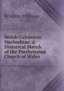 Welsh Calvinistic Methodism - William Williams