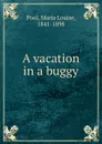 A vacation in a buggy - Maria Louise Pool