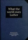 What the world owes Luther - Junius Benjamin Remensnyder