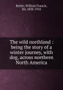 The wild northland - William Francis Butler