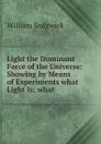 Light the Dominant Force of the Universe - William Sedgwick