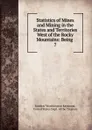 Statistics of Mines and Mining in the States and Territories West of the Rocky Mountains - Rossiter Worthington Raymond
