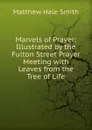 Marvels of Prayer - Matthew Hale Smith