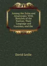 Among the Zulus and Amatongas - David Leslie