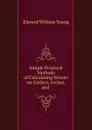 Simple Practical Methods of Calculating Strains on Girders, Arches, and - Edward William Young