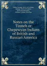Notes on the Tinneh or Chepewyan Indians of British and Russian America - George Gibbs