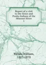 Report of a visit to the Sioux and Ponka Indians of the Missouri River - William Welsh