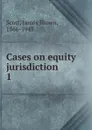 Cases on equity jurisdiction - James Brown Scott