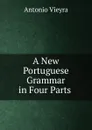 A New Portuguese Grammar in Four Parts - Antonio Vieyra