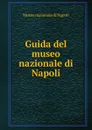 Guida del museo nazionale di Napoli - Museo nazionale di Napoli