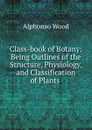 Class-book of Botany - Alphonso Wood