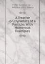 A Treatise on Dynamics of a Particle - Peter Guthrie Tait