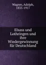 Elsass und Lothringen und ihre Wiedergewinnung fur Deutschland - Adolph Wagner