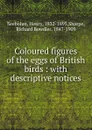 Coloured figures of the eggs of British birds - Henry Seebohm