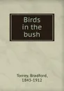 Birds in the bush - Bradford Torrey