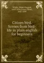 Citizen bird. Scenes from bird-life in plain english for - Mabel Osgood Wright