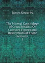 The Mineral Conchology of Great Britain - James Sowerby