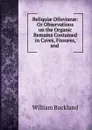 Reliquiae Diluvianae: Or Observations on the Organic Remains Contained in Caves, Fissures, and . - William Buckland