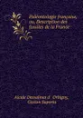 Paleontologie francaise, ou, Description des fossiles de la France - Alcide Dessalines d'Orbigny