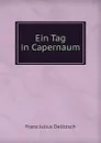 Ein Tag in Capernaum - Franz Julius Delitzsch