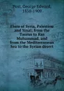 Flora of Syria, Palestine and Sinai; from the Taurus to Ras Muhammad, and from the Mediterranean Sea to the Syrian desert - George Edward Post