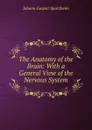 The Anatomy of the Brain: With a General View of the Nervous System. - Johann Gaspar Spurzheim
