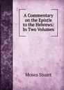A Commentary on the Epistle to the Hebrews: In Two Volumes - Moses Stuart