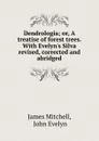 Dendrologia; or, A treatise of forest trees. With Evelyn.s Silva revised, corrected and abridged - James Mitchell