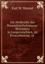 Die Heilkrafte des Wasserfenchelsamens: Besonders in Lungensuchten, im Psoasabscesse, in . - Karl W. Wenzel