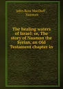 The healing waters of Israel: or, The story of Naaman the Syrian, an Old Testament chapter in . - John R. Macduff