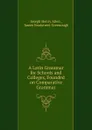 A Latin Grammar for Schools and Colleges, Founded on Comparative Grammar - Joseph Henry Allen