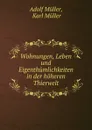 Wohnungen, Leben und Eigenthumlichkeiten in der hoheren Thierwelt - Adolf Müller