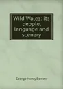 Wild Wales: its people, language and scenery - George Henry Borrow