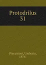 Protodrilus. 31 - Umberto Pierantoni