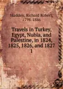 Travels in Turkey, Egypt, Nubia, and Palestine, in 1824, 1825, 1826, and 1827. 1 - Madden Richard Robert