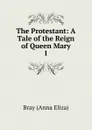 The Protestant: A Tale of the Reign of Queen Mary. 1 - Bray Anna Eliza