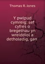 Y pwlpud cymreig: sef cyfres o bregethau yn wreiddiol a detholedig, gan . - Thomas R. Jones