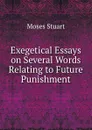Exegetical Essays on Several Words Relating to Future Punishment - Moses Stuart