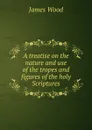 A treatise on the nature and use of the tropes and figures of the holy Scriptures - James Wood